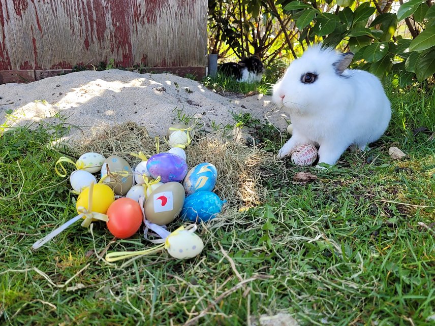 Bild: Ostern bei Familie Tritschler in Nohra bei Bleicherode (1.)