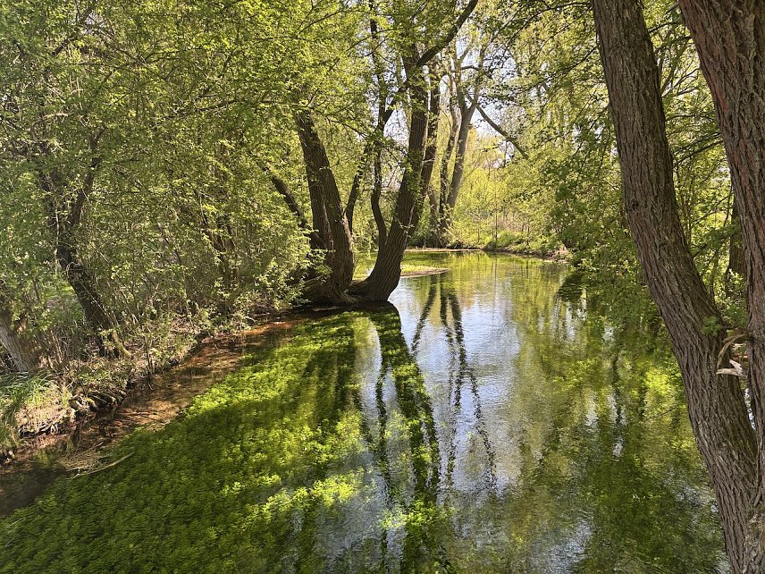 Bild: An der Salza in Nordhausen 