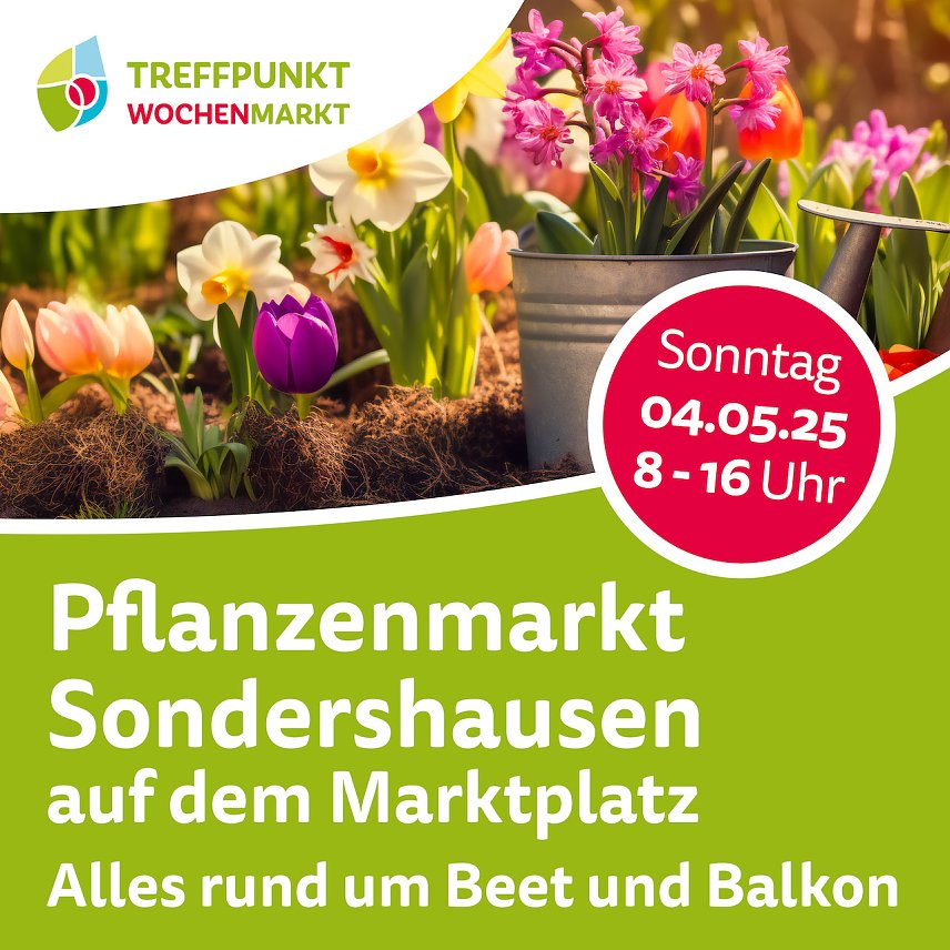 Bild: Pflanzenmarkt in Sondershausen