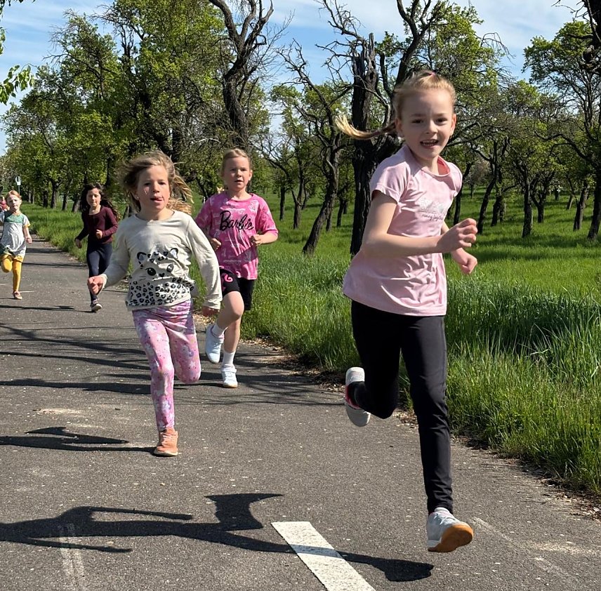 Bild: Schulcrosslauf 