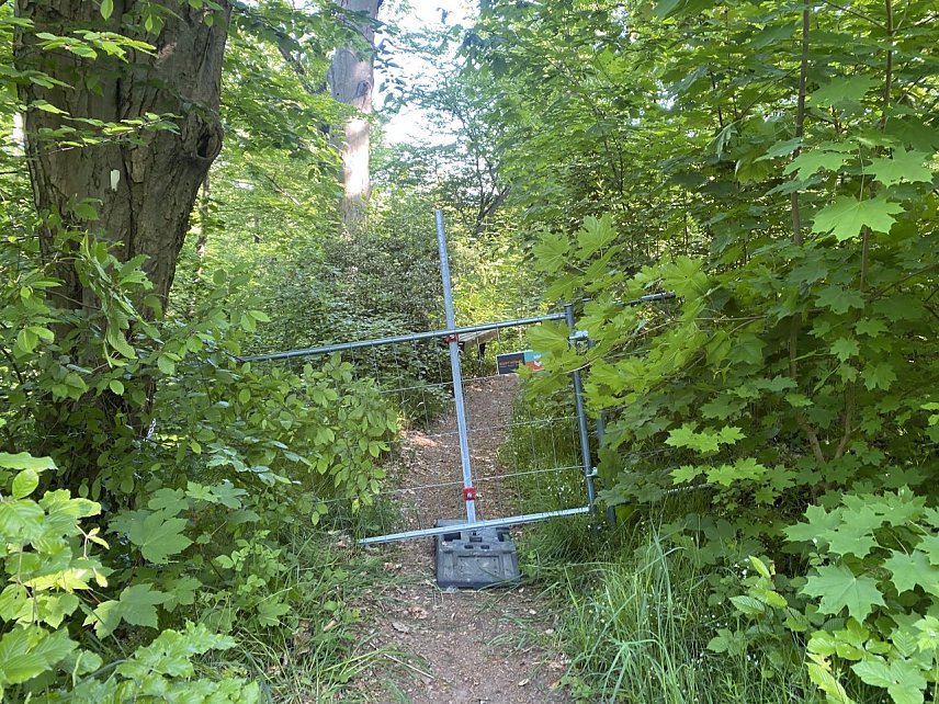 Bild: Wanderweg hier dem Wartt&uuml;rmchen gesperrt.