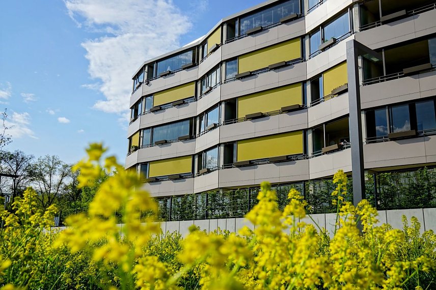 Bild:  Das Ossietzky-Quartier, hier der Wohnblock Ludwig, wurde jetzt vom VTW Th&uuml;ringen mit einer Anerkennung ausgezeichnet