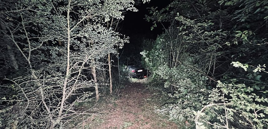 Bild: Auf Abwegen ging es bei G&ouml;rsbach durch die Hecke