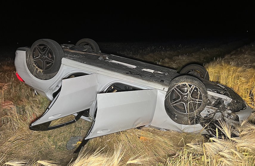 Bild: Benz im Kornfeld