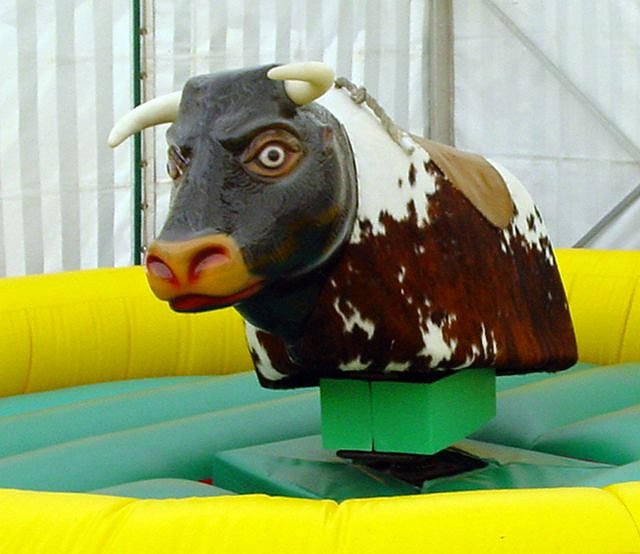 Bild: Den Bullen reiten