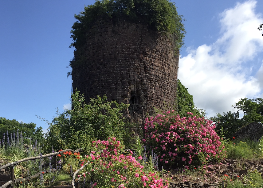 Bild: Sommer auf der Ebersburg