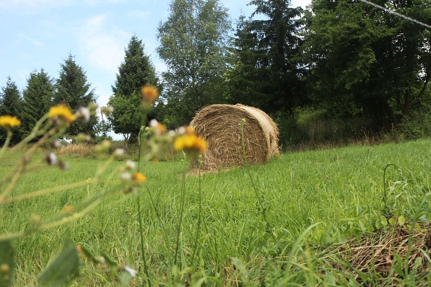 Bild: Wetterbild