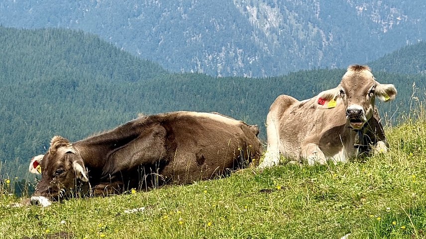 Bild: 1. Waidring (Tirol)