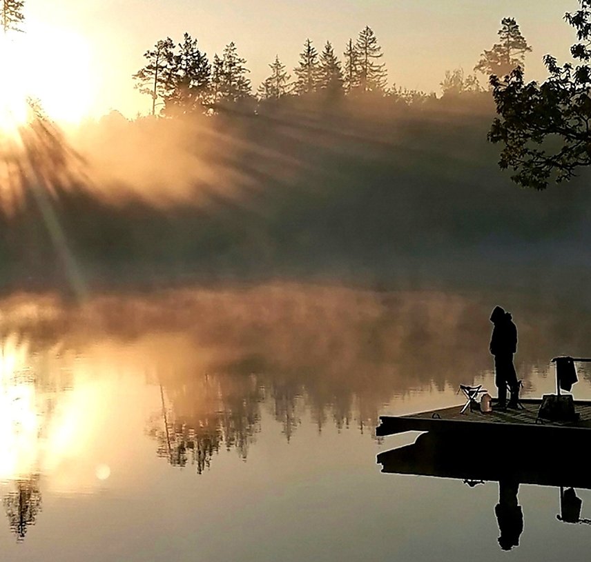 Bild: Am Birnbaumteich bei Harzgerode im S&uuml;dharz im Fr&uuml;hsommer 