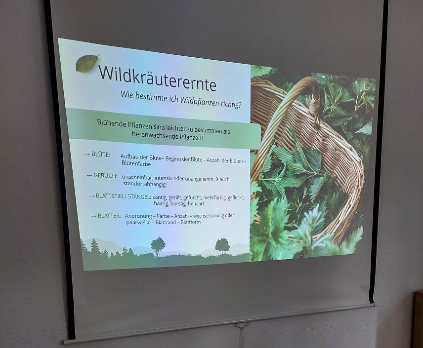 Bild: Seniorentreff und die Wildkr&auml;uter in Sondershausen-Jecha