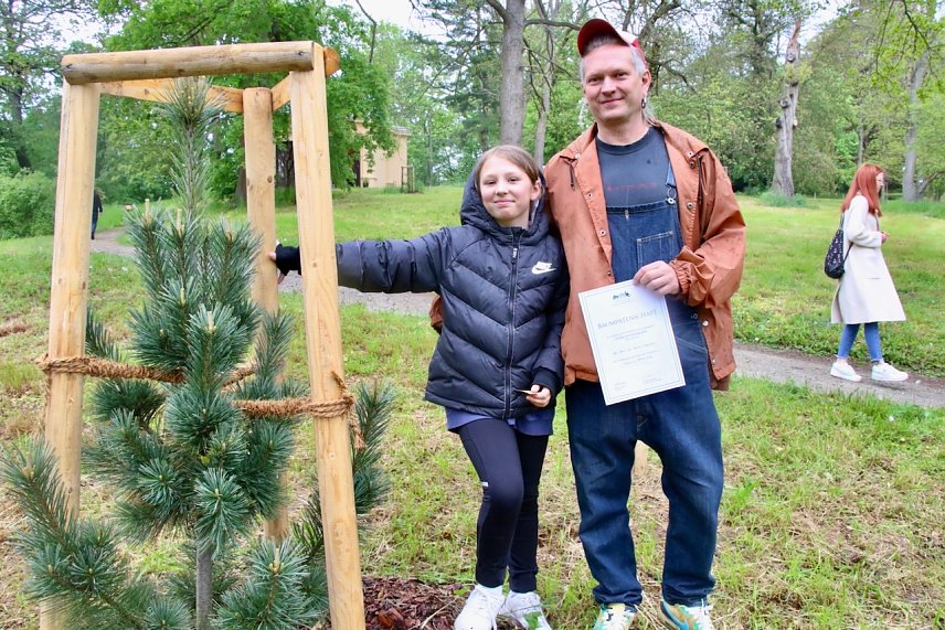 Bild: Baumpaten im Park Hohenrode