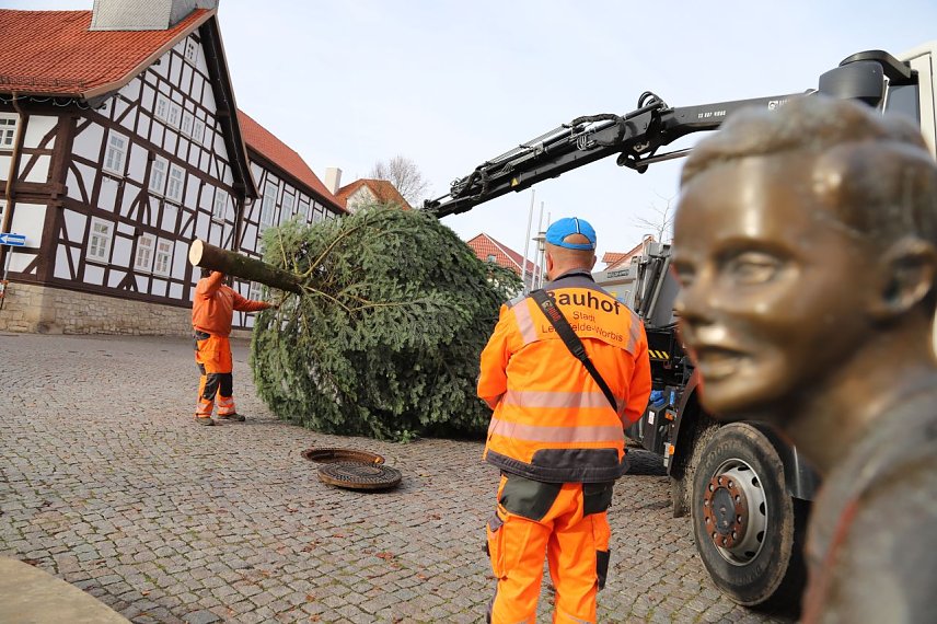 Bild: Leinefelde-Worbis sucht den Weihnachtsbaum f&uuml;r die festlichen Tage