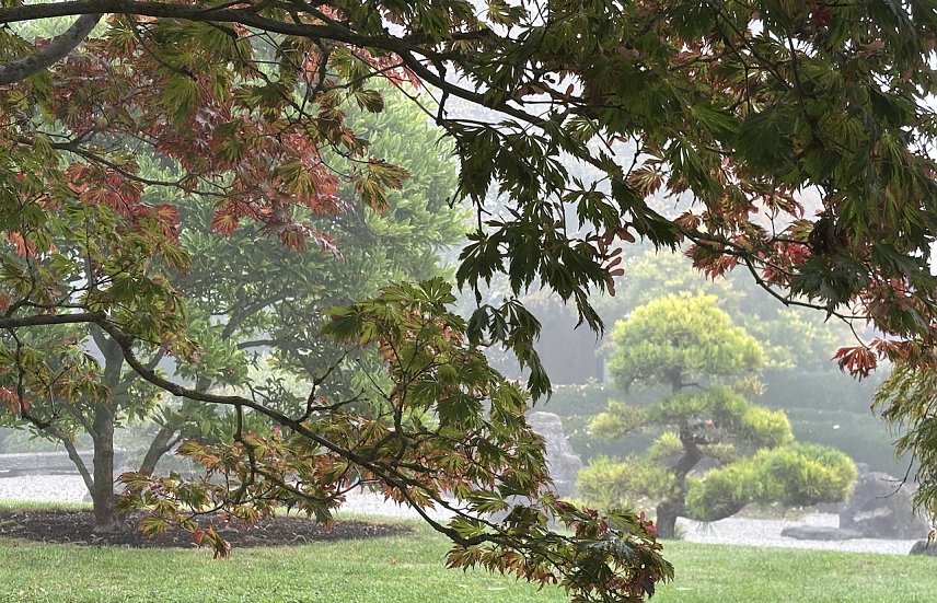 Bild: Ruhiges Herbstwetter nach Nebelaufl&ouml;sung 