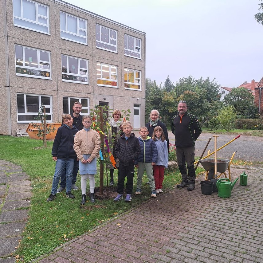 Bild: F&ouml;rderverein der Grundschule G&ouml;rsbach beteiligt sich an der "Baumchallenge"