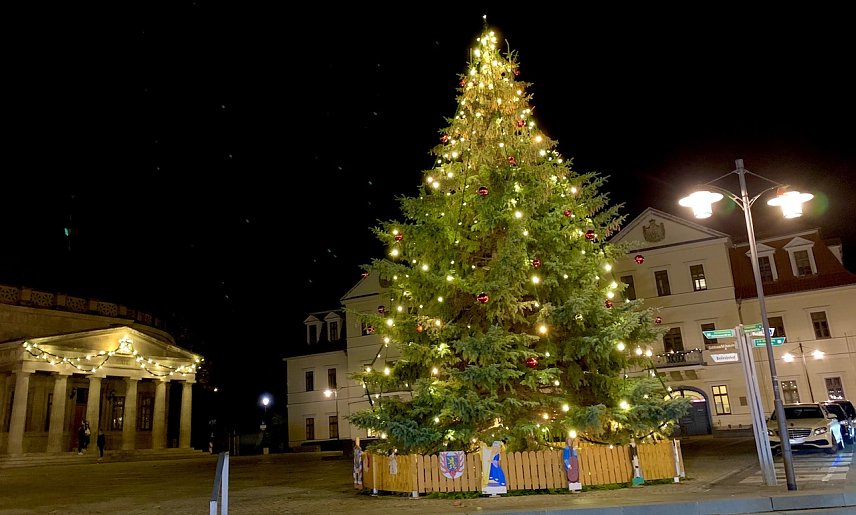 Bild: Weihnachtsbaum f&uuml;r Sondershausen gesucht (Foto Archiv)