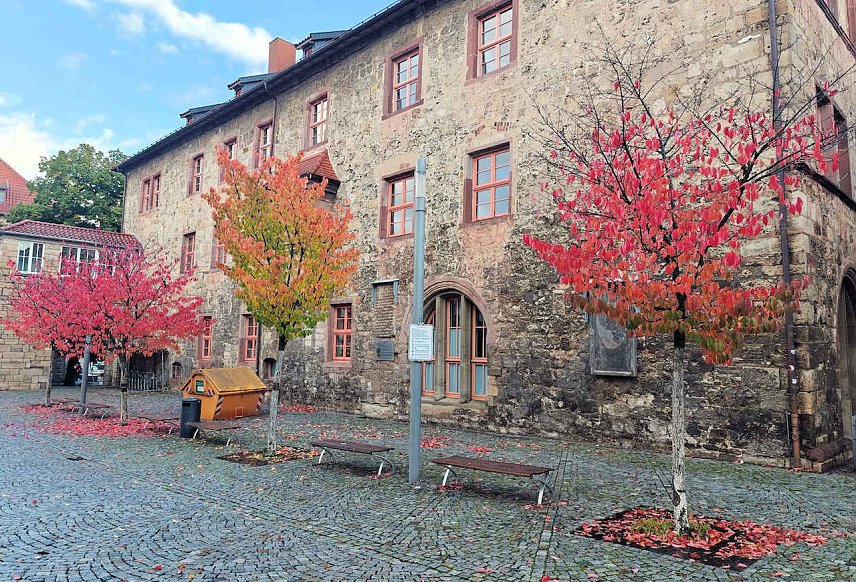 Bild: Herbst in Nordhausen