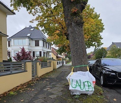 Bild: Laubsack im Wohngebiet