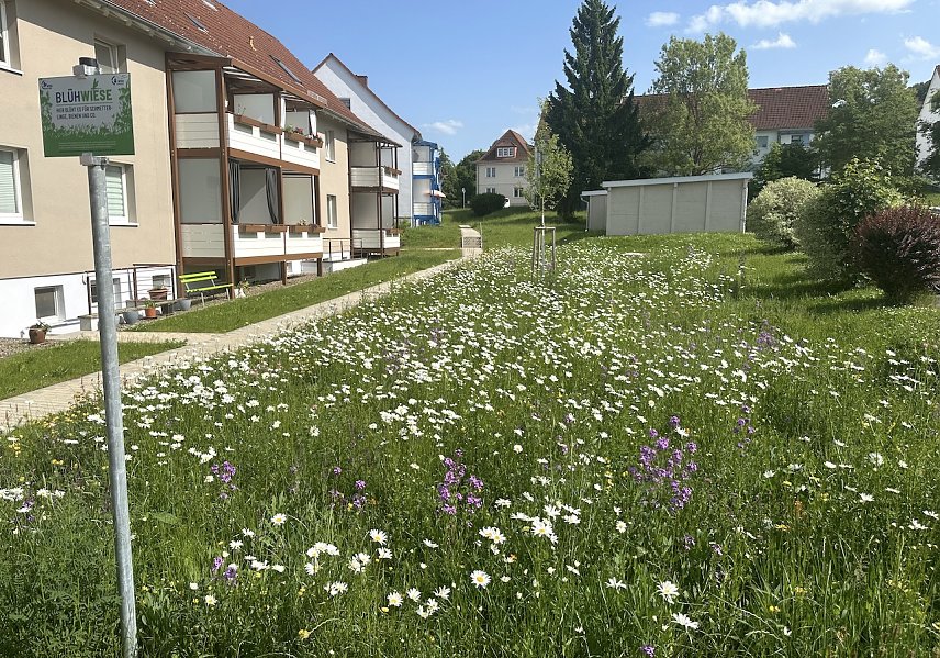 Bild: Hier arbeiten  die WBG-Bienen vor Ort 