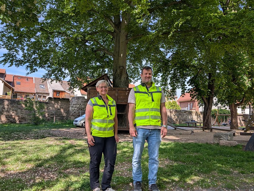 Bild:  Die Baumkontrolleure der Stadtverwaltung Sondershausen haben den korrekten Schnitt der st&auml;dtischen B&auml;ume jederzeit im Blick und geben gerne Tipps.