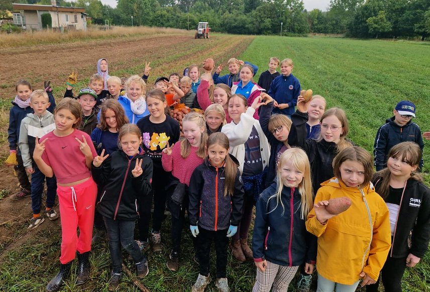 Bild: Grundsch&uuml;ler aus Werther bei der Kartoffelernte