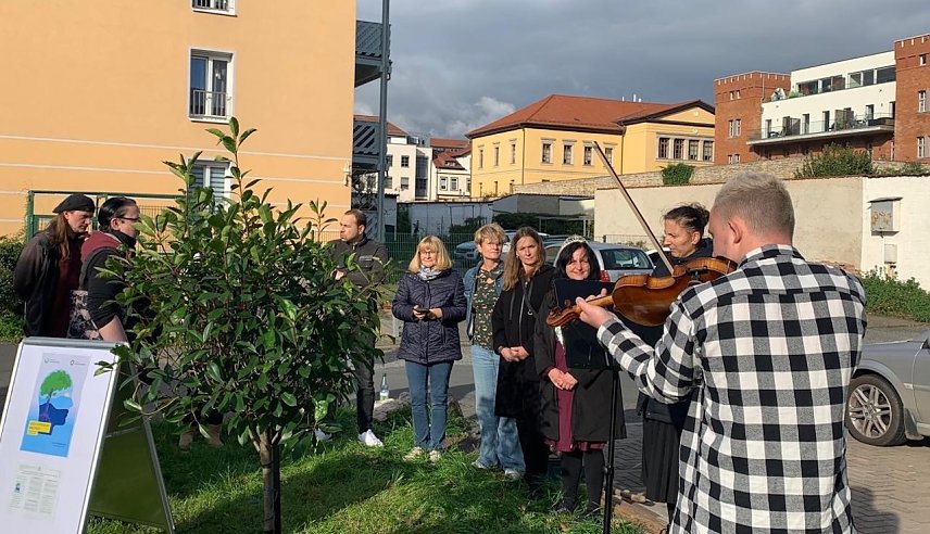 Bild: In Sondershausen wurde am Tag der seelischen Gesundheit ein Mispelbaum gepflanzt