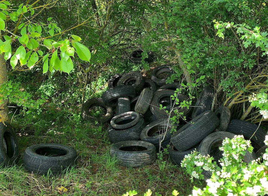 Bild: Ein Reifenhaufen entlang eines st&auml;dtischen Wanderwegs