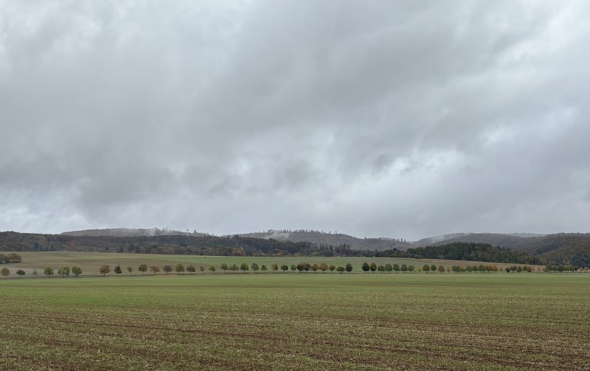 Bild: St&uuml;rmischen regnerisch. Hier bei Stempeda am Alten Stolberg
