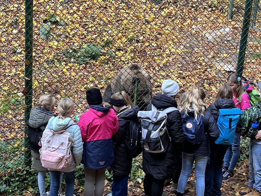 Bild: Die 5. Klassen des Humboldt-Gymnasiums waren zu Besuch im B&auml;renpark Worbis