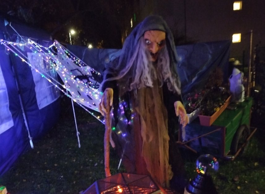 Bild: Halloween in Sollstedt