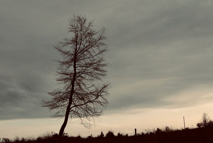 Bild: Wetterbild