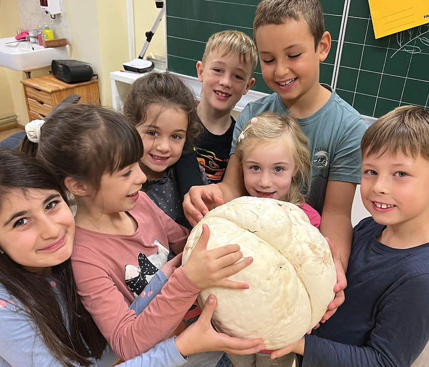 Bild: Sch&uuml;lerinnen und Sch&uuml;ler der Klasse 2 staunen &uuml;ber einen Riesenbovist