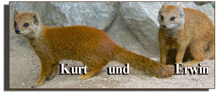 Bild: Kurt und Erwin