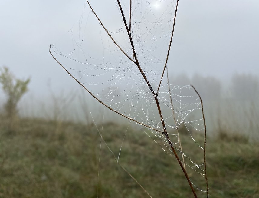 Bild: Ruhiges, nebliges Herbstwetter erwartet