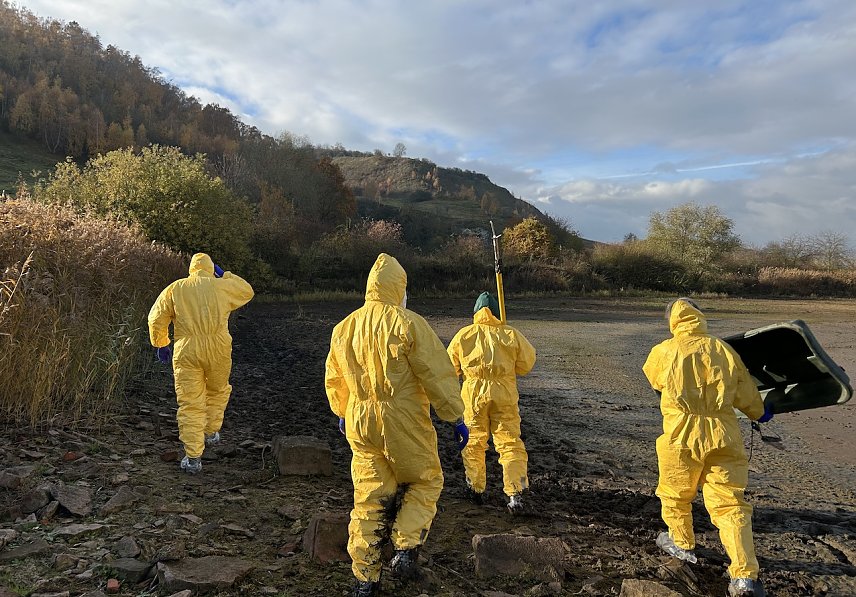 Bild: Mitarbeiter der Kreisverwaltung bei der Suche nach verendeten Wildv&ouml;geln am Stausee Kelbra