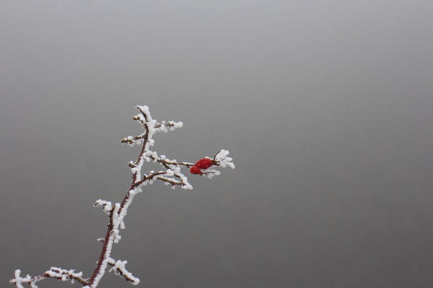 Bild: Wetterbild
