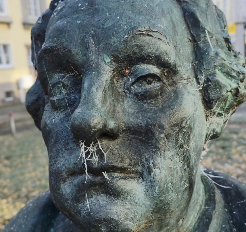 Bild: Frost setzt den Reformatoren auf dem Nordh&auml;user Lutherplatz zu