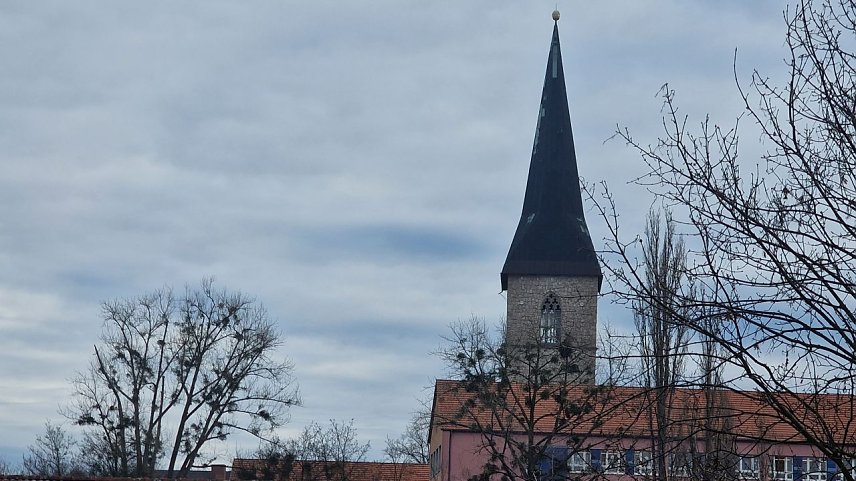 Bild: Der Petri-Turm bleibt dieses Jahr leider ohne festliche Beleuchtung