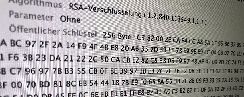 Bild: Quellcode