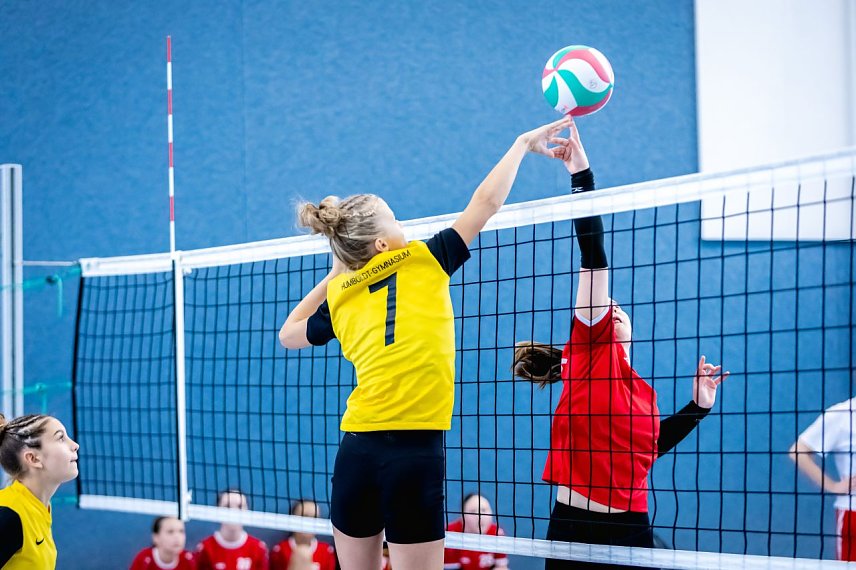 Bild: Kreisfinale Jugend trainiert f&uuml;r Olympia im Volleyball
