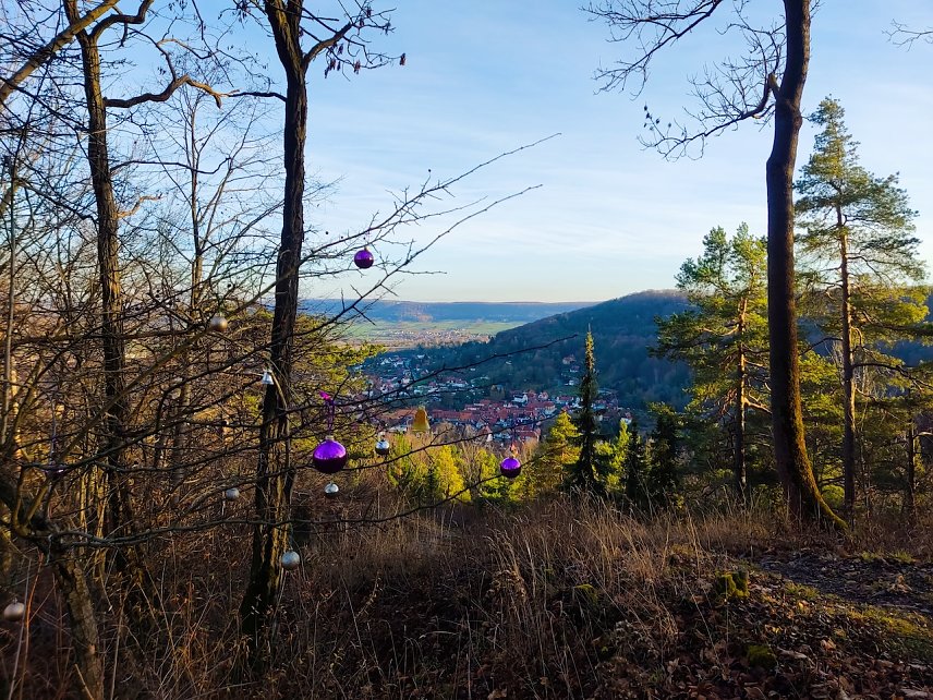 Bild: Blick von der L&ouml;wenburg auf Bleicherode
