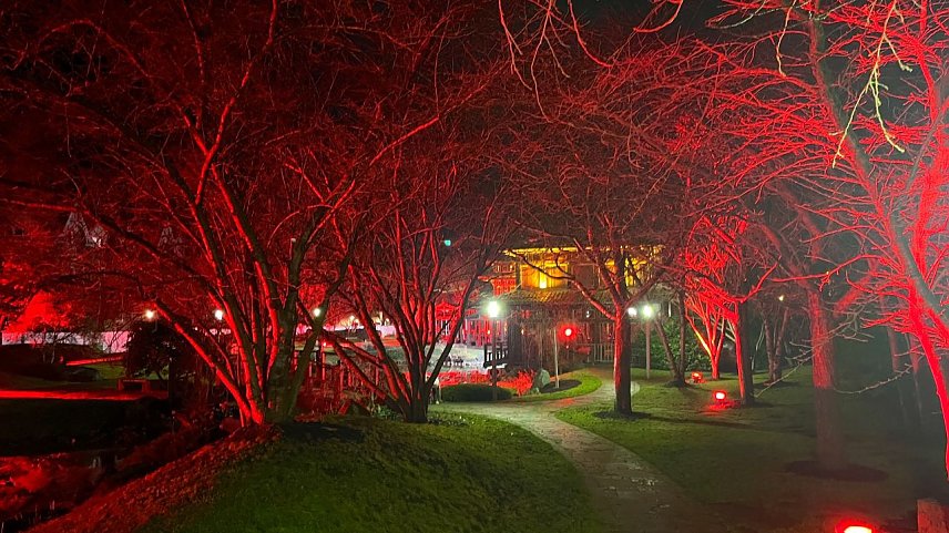 Bild: Wundervolle Lichterwelt im Japanischen Garten