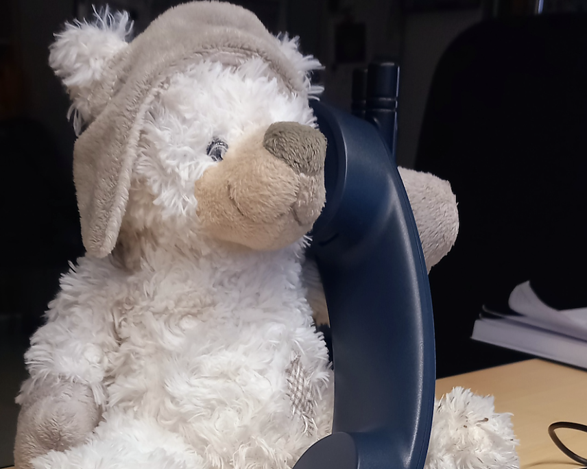Bild: Der verwaiste Teddy bei der Arbeit