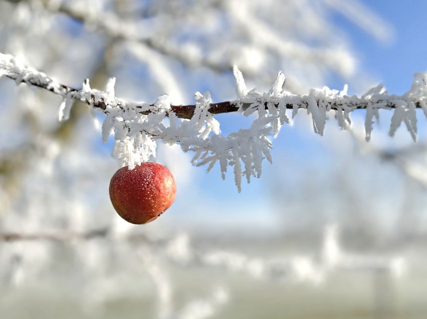 Bild: Winterimpressionen aus G&ouml;rsbach