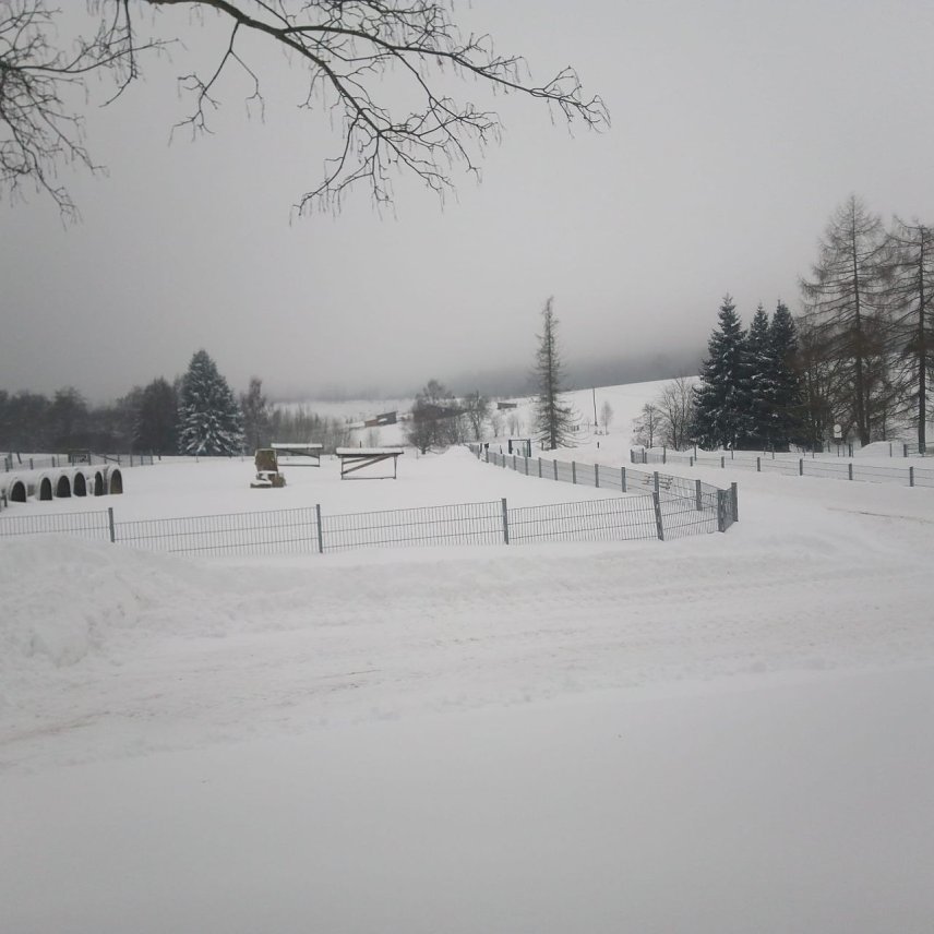 Bild: Ein Blick auf das verschneite Sophienhof