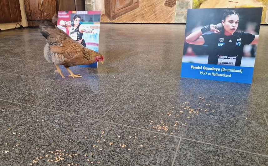 Bild: ein braun gefiedertes Huhn vor dem Bild der Kugelsto&szlig;erin Chase Jackson