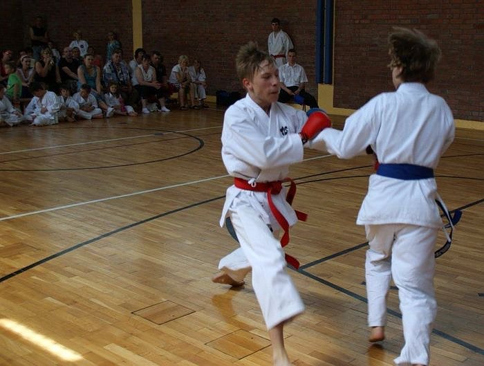 Bild: Karate am Wochenende
