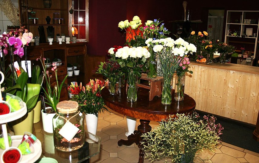 Bild: 