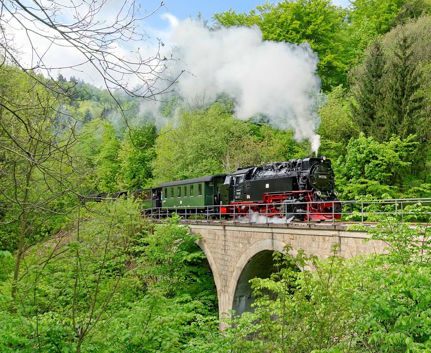 Bild: 
