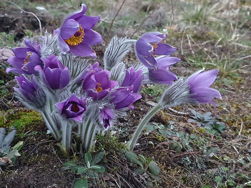 Bild: 