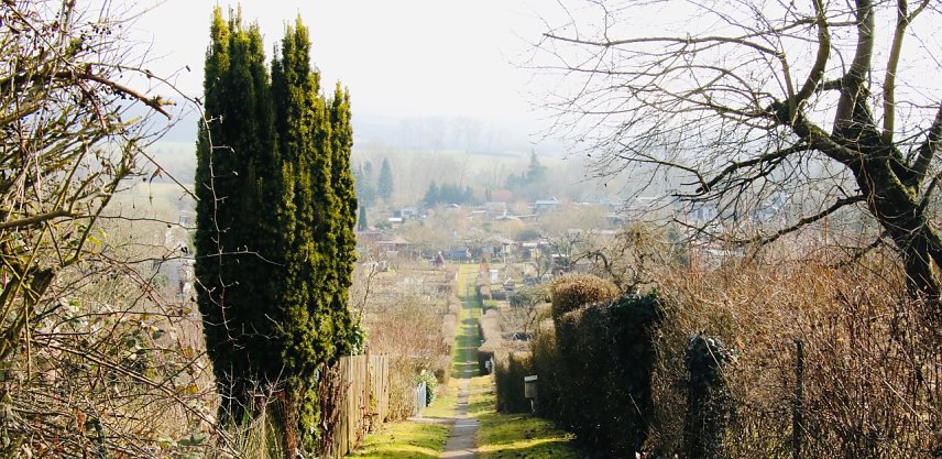Bild: Blick auf eine Kleingartenanlage in Nordhausen